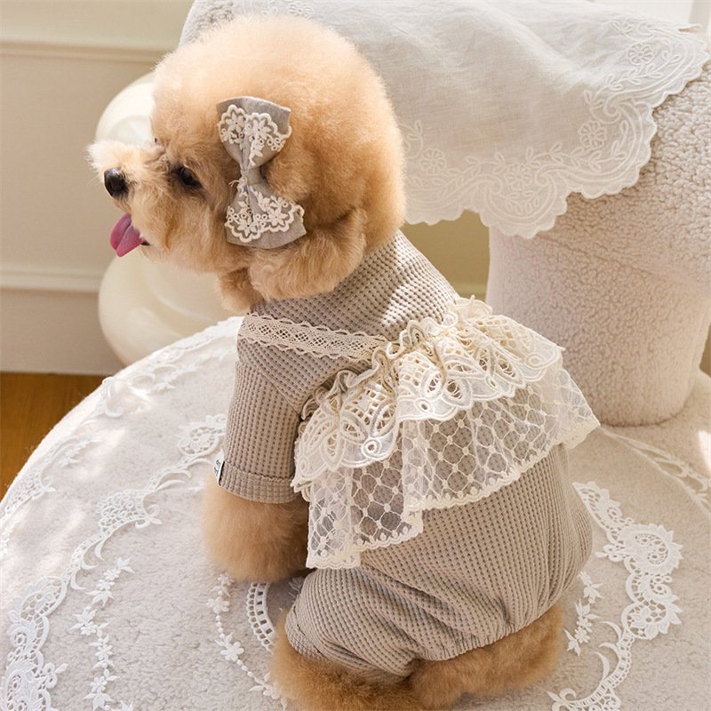 Pet Spring Jumpsuit Cute Lace  – обзор и цена Lace Teddy Lingerie