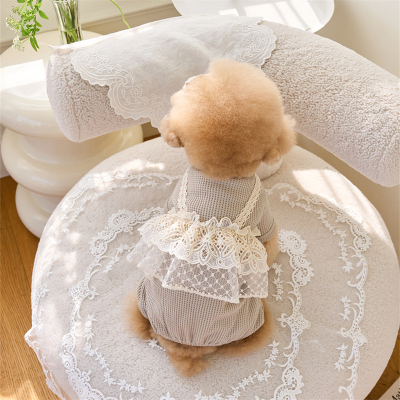 Pet Spring Jumpsuit Cute Lace  – обзор и цена Lace Teddy Lingerie
