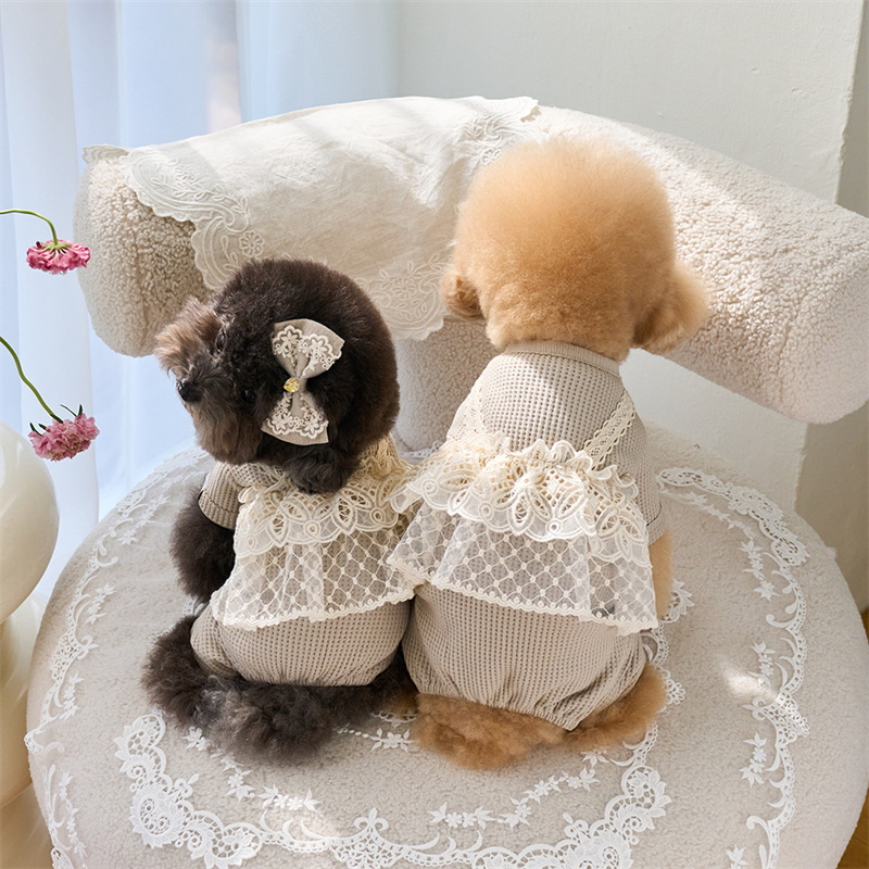 Pet Spring Jumpsuit Cute Lace  – обзор и цена Lace Teddy Lingerie