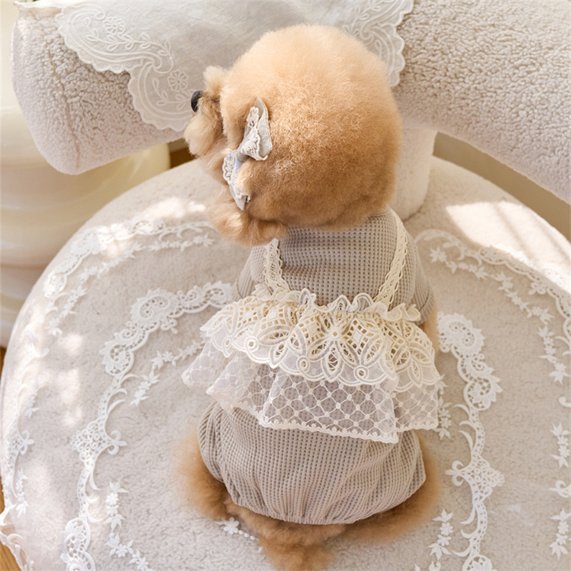 Pet Spring Jumpsuit Cute Lace  – обзор и цена Lace Teddy Lingerie